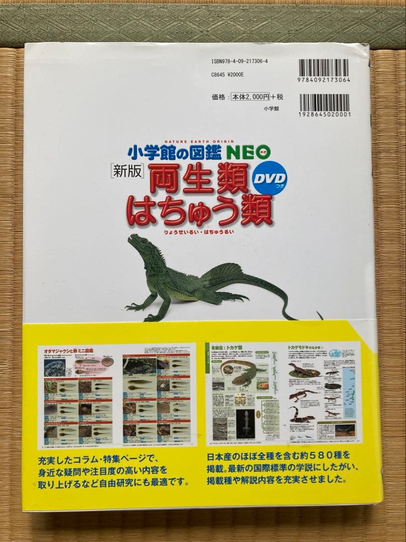 小学館の図鑑NEO 全9冊 DVD付き