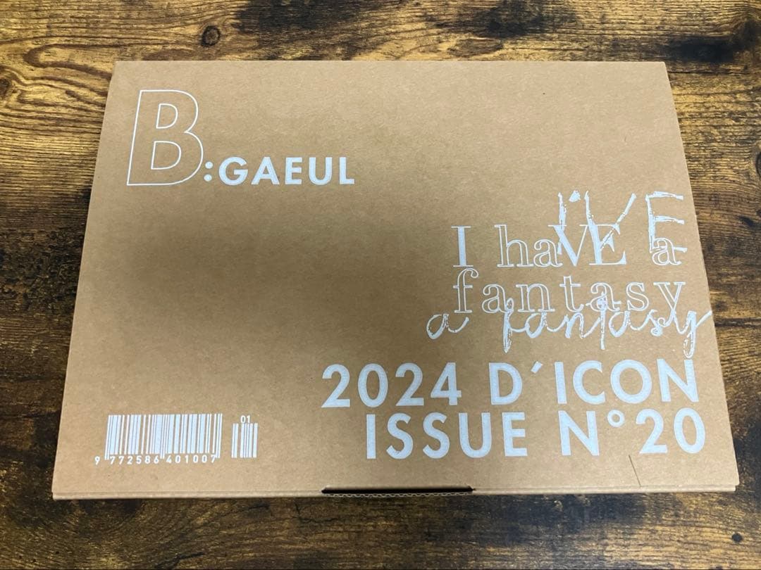 IVE dicon ガウル B