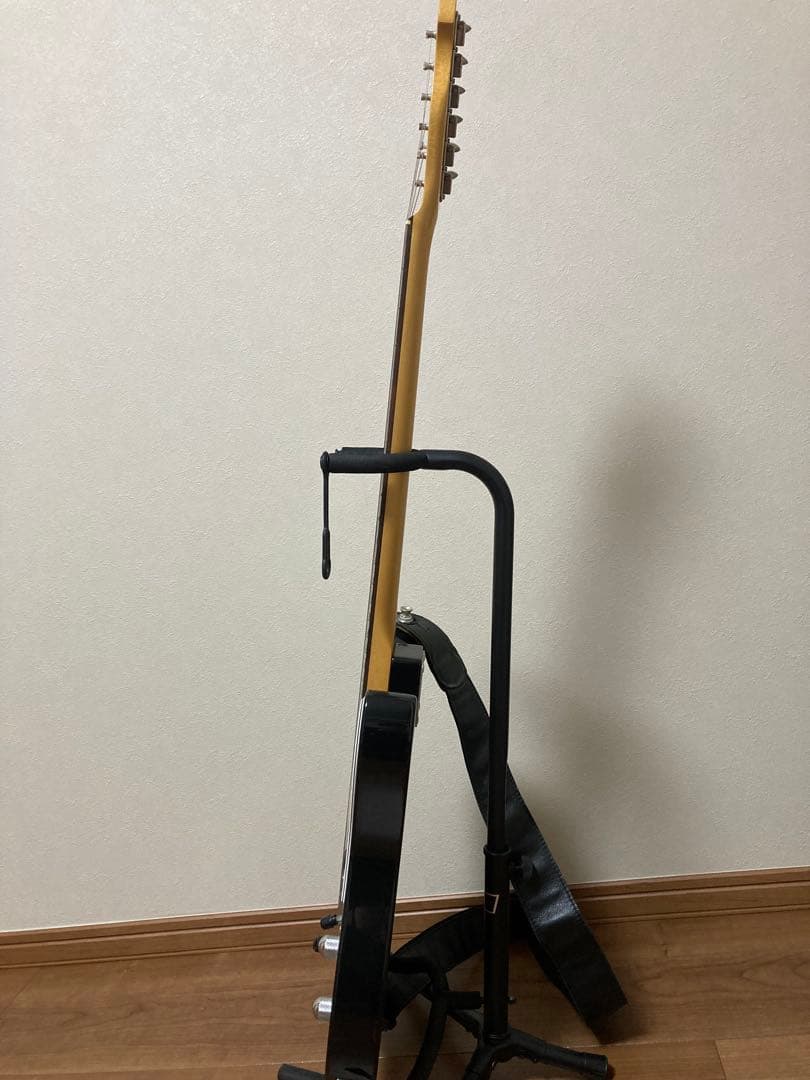 フジゲン(FgN) テレキャス NTL101-3TS