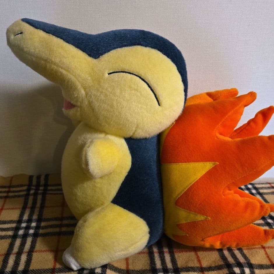 ポケモン TOMY ヒノアラシ ぬいぐるみ BIG