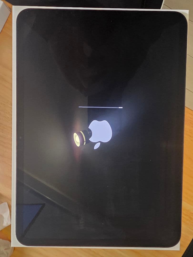 11インチ iPad Pro (M4)256GB バッテリー劣化無し(100%)