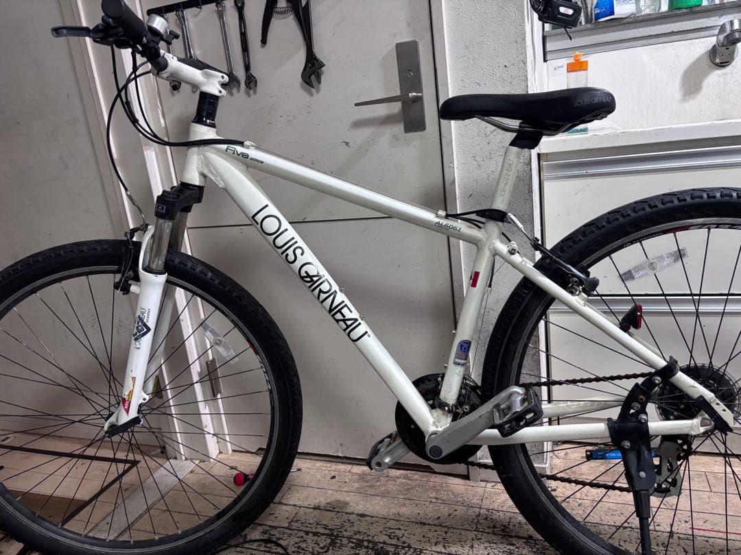 LOUIS GARNEAU Five 29erルイガノマウンテンバイク