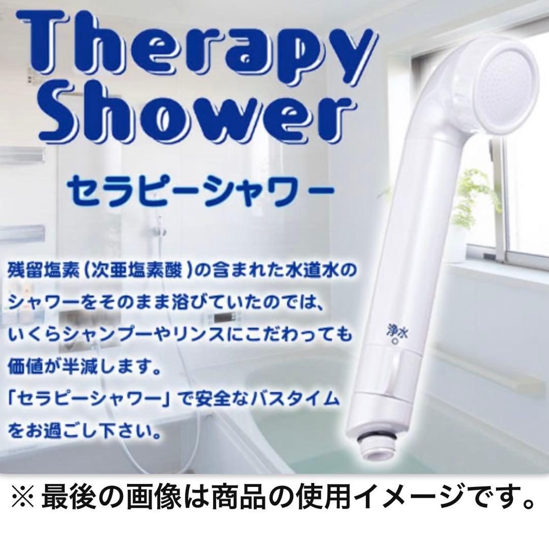 新品 未使用 素粒水 セラピーシャワー 本体＋カートリッジ フリーサイエンス