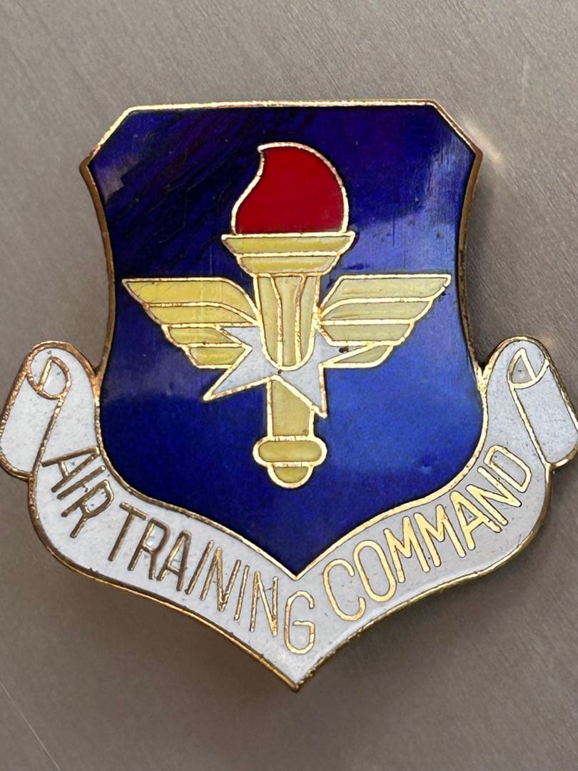 訳あり　アメリカ軍ミリタリー　ピンズ　ピンバッチ　まとめ売り　ブルーエンジェルス