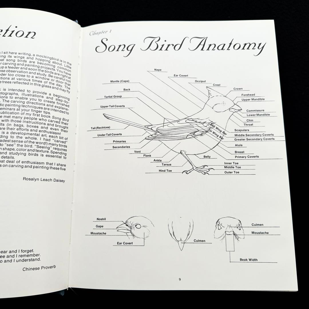 ソングバード バードカービング 技法書「Songbird Carving II」