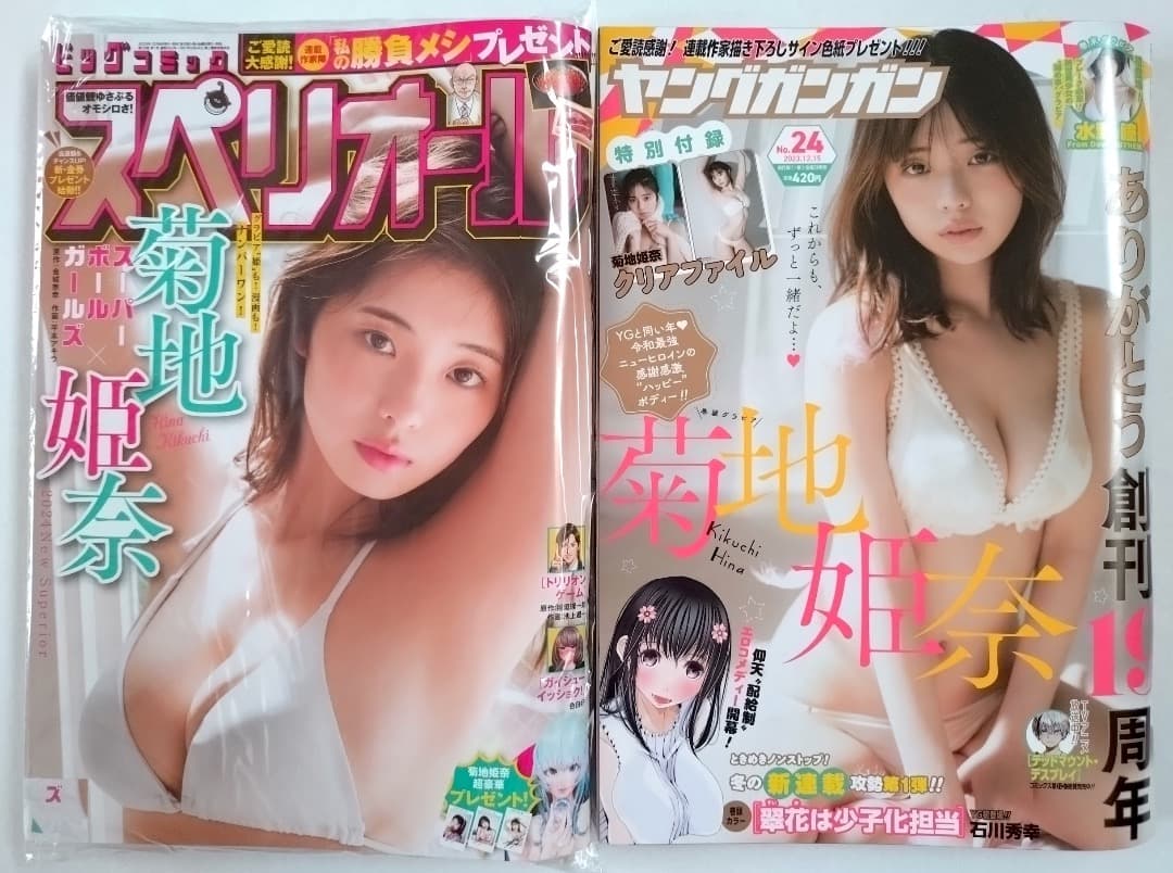 【菊地姫奈 2冊・美品】【希少】ビッグコミックスペリオール、ヤングガンガン