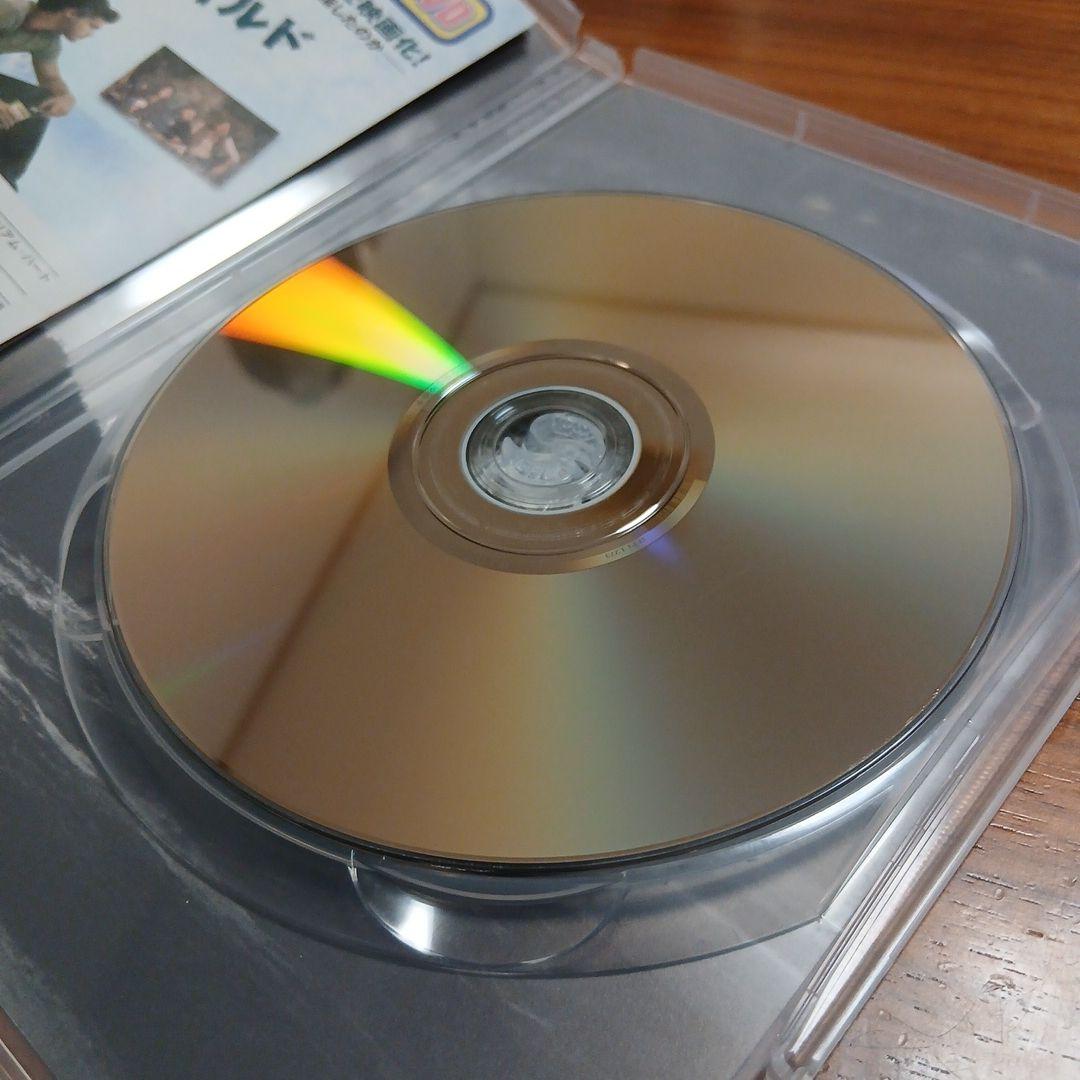 初回盤 イントゥ・ザ・ワイルド DVD