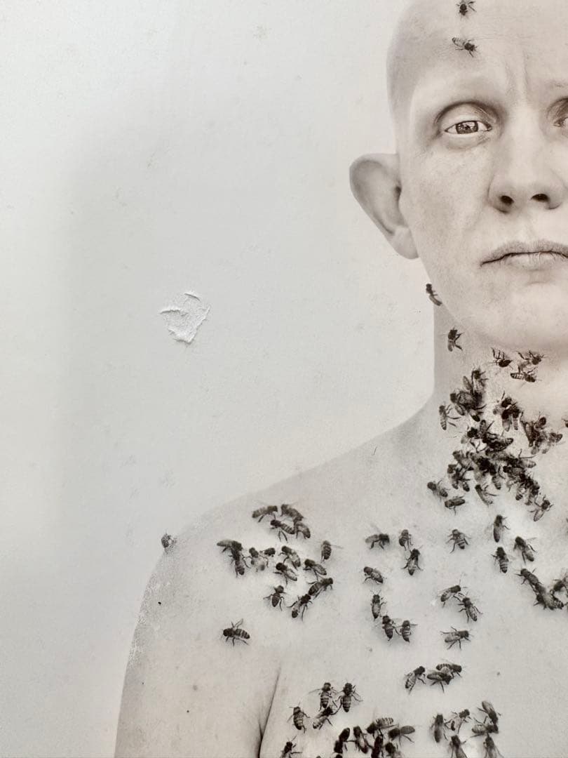 Richard Avedon Portraitsリチャード・アヴェドン