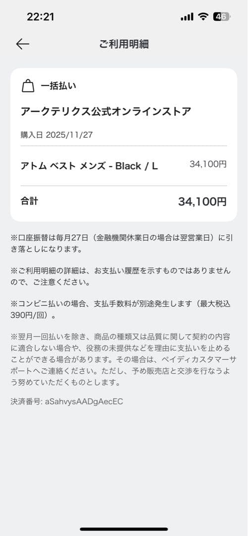 【新品同様】ARC’TERYX Atom Vest Lサイズ