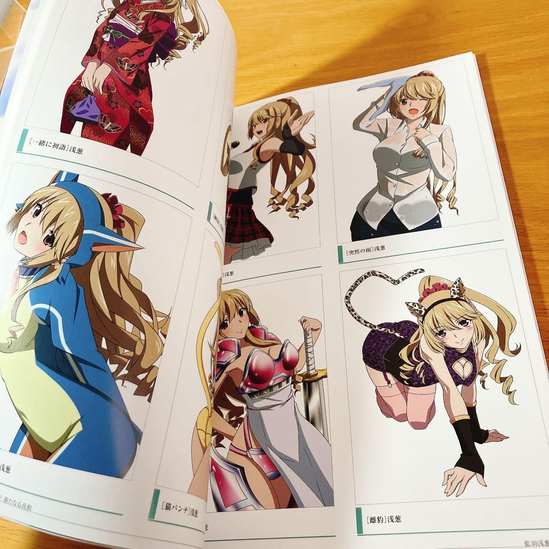 【美品】ストライク・ザ・ブラッド 新たなる真祖 ビジュアルブック 特典付き