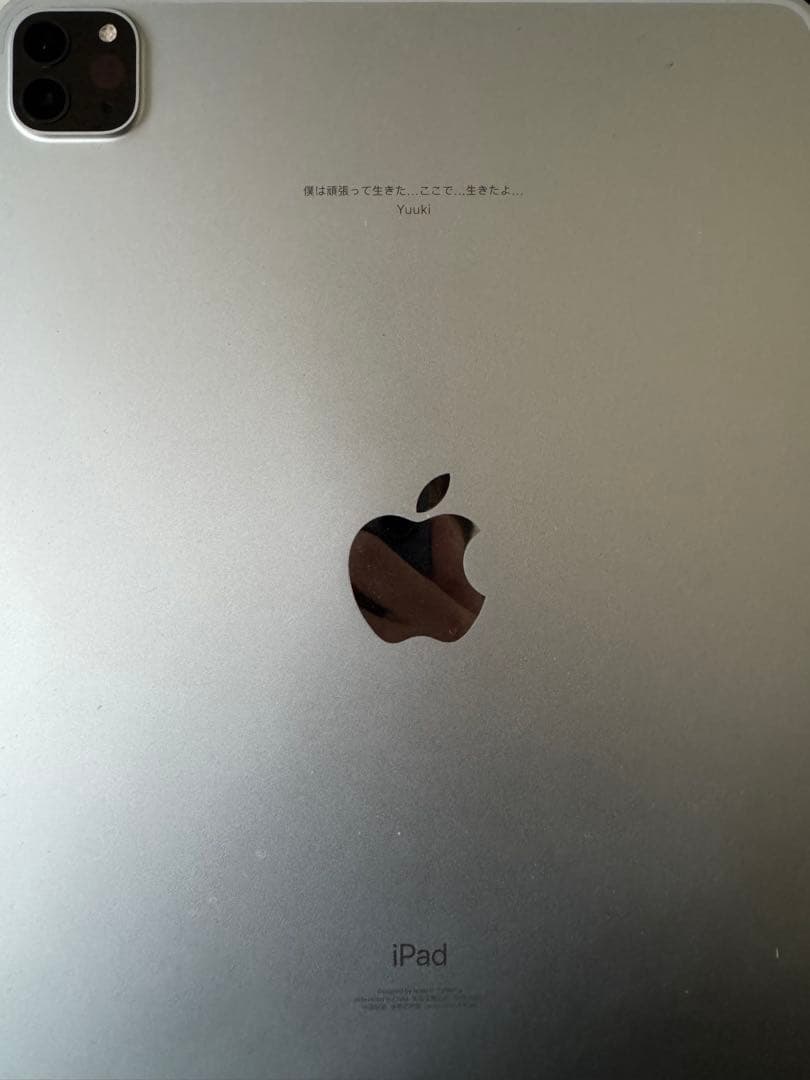 Apple iPad 256GB シルバー 本体+apple pencil