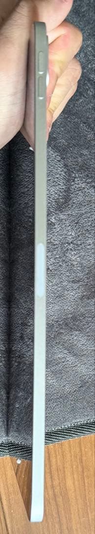 Apple iPad 256GB シルバー 本体+apple pencil