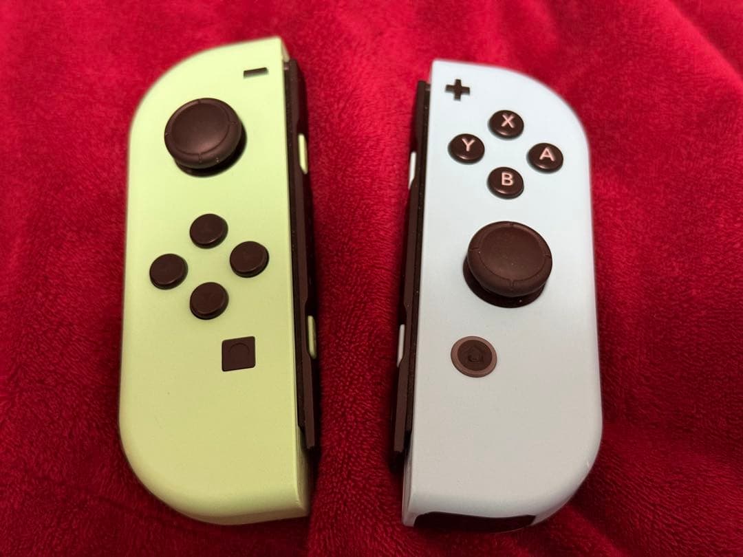 Nintendo Switch 本体 あつまれどうぶつの森 あつ森