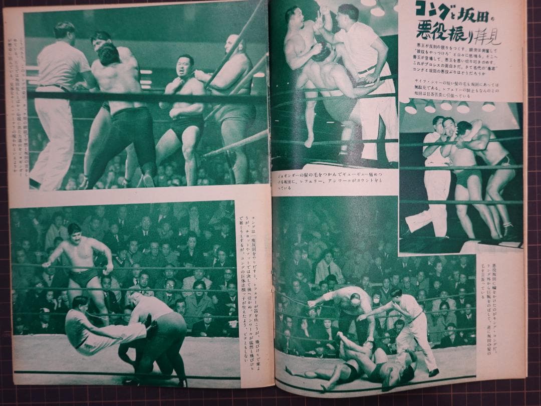 増刊プロレス 1955年（昭和30年） アジアの嵐 力道山