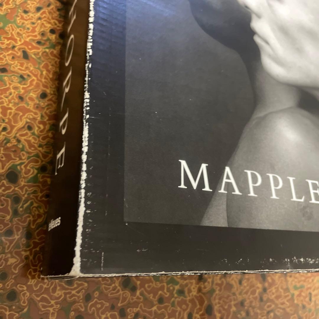 アート・デザイン・音楽 MAPPLETHORPE mapplethorpe