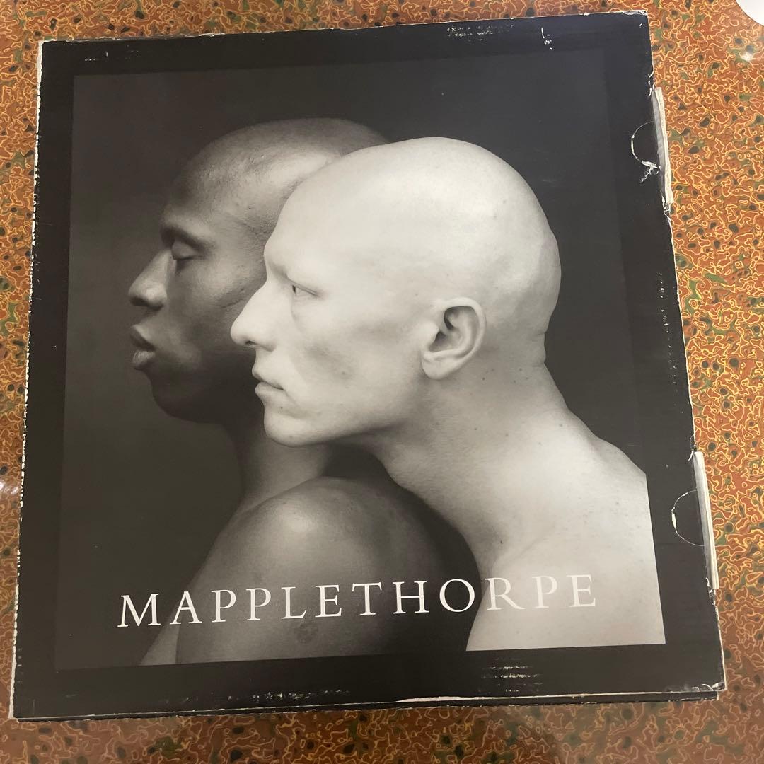 アート・デザイン・音楽 MAPPLETHORPE mapplethorpe