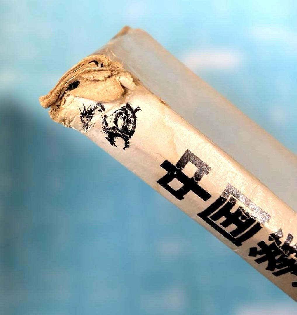 中国拳法大講座　本