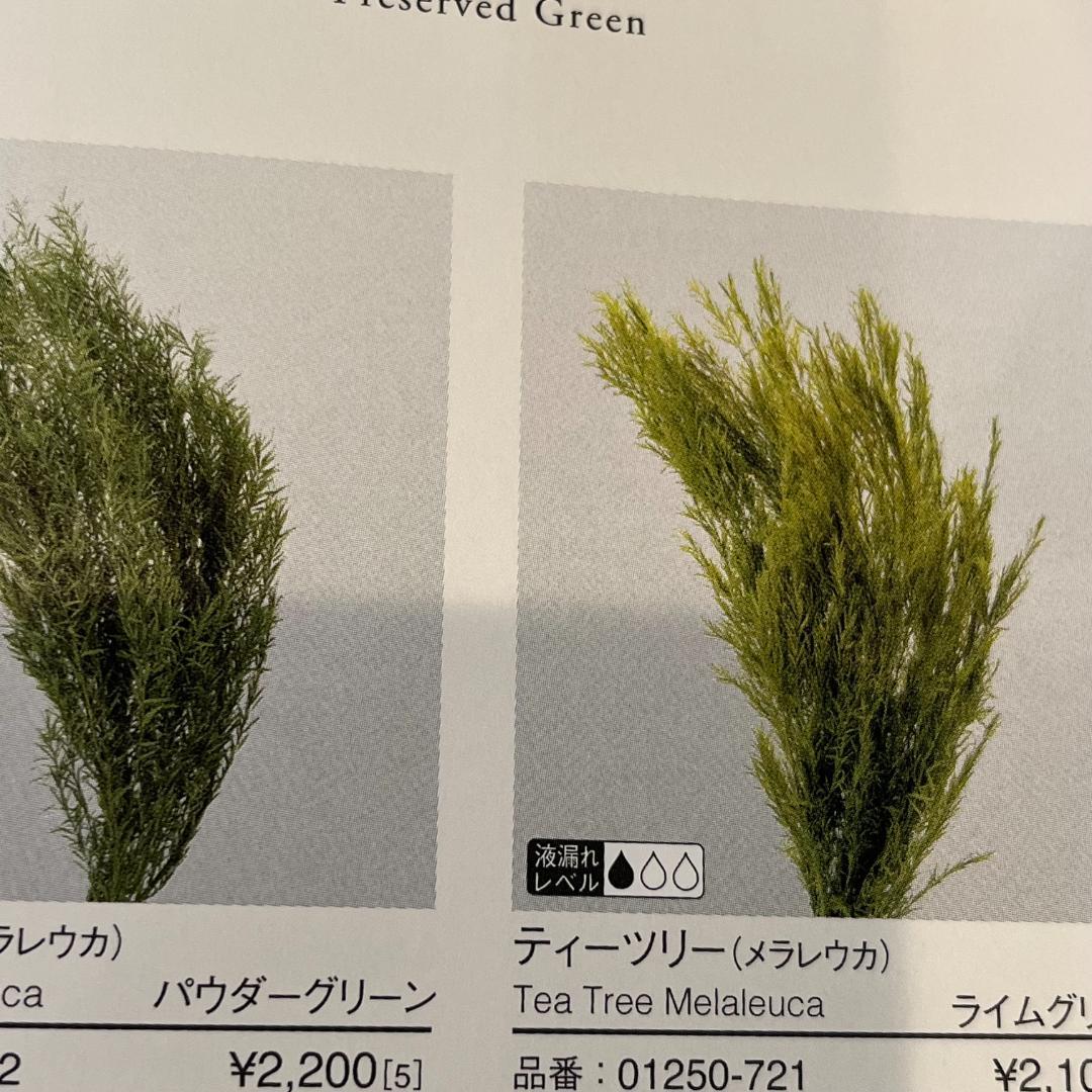 パンパス&ワイルドフラワーのスワッグ・ Lふっくらタイプ　再販多数