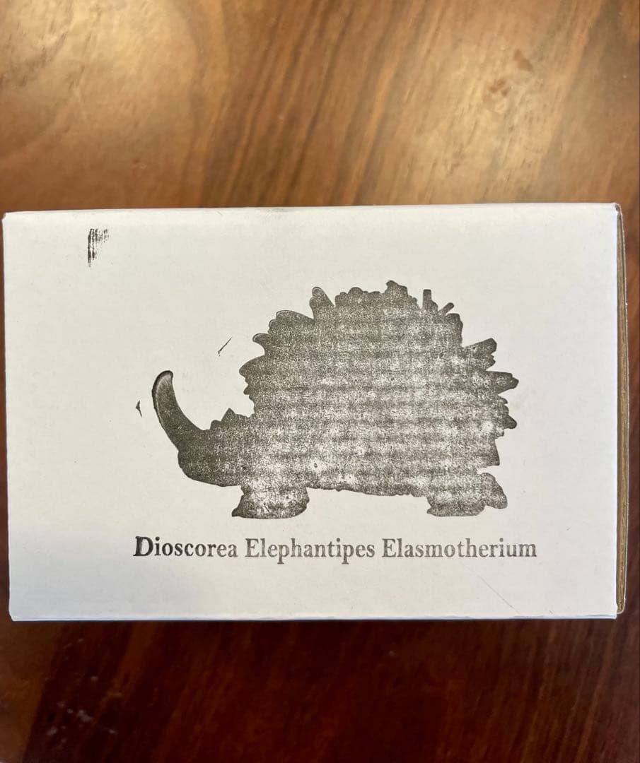 彫刻・オブジェ ozwart Dioscorea Elasmotherium Silver