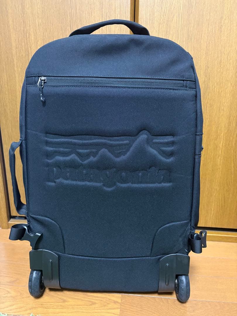 Patagonia キャリーバッグ 希少