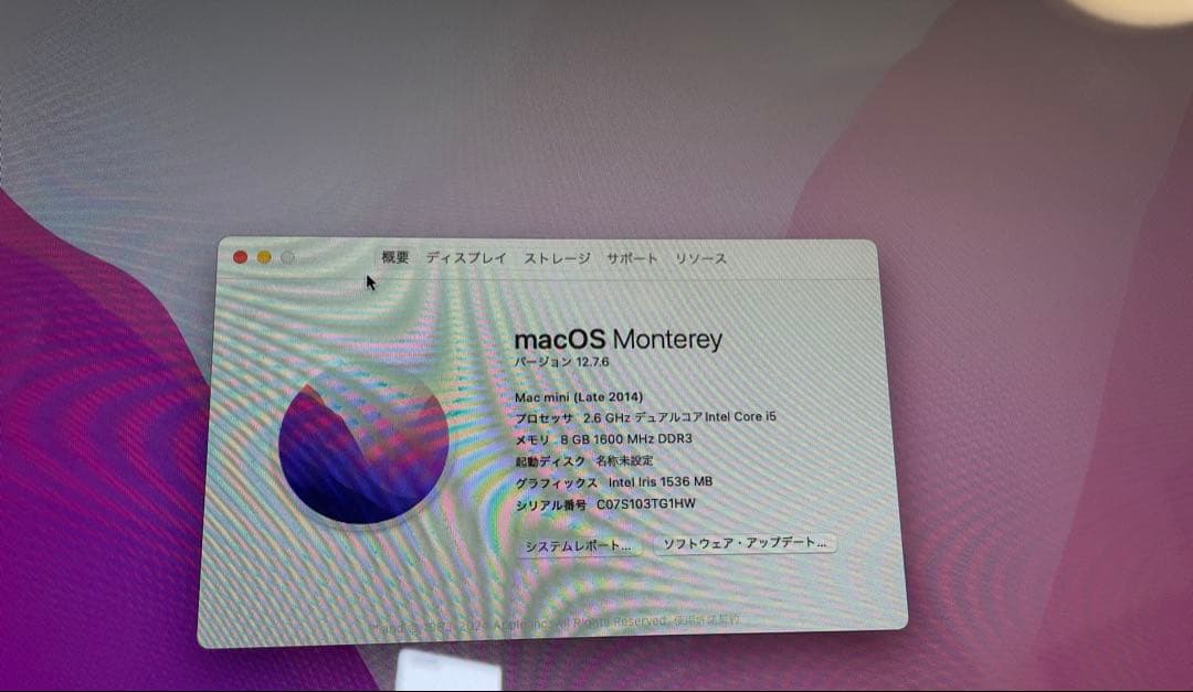 Apple Mac mini シルバー 256GB SSD + 1TB HDD