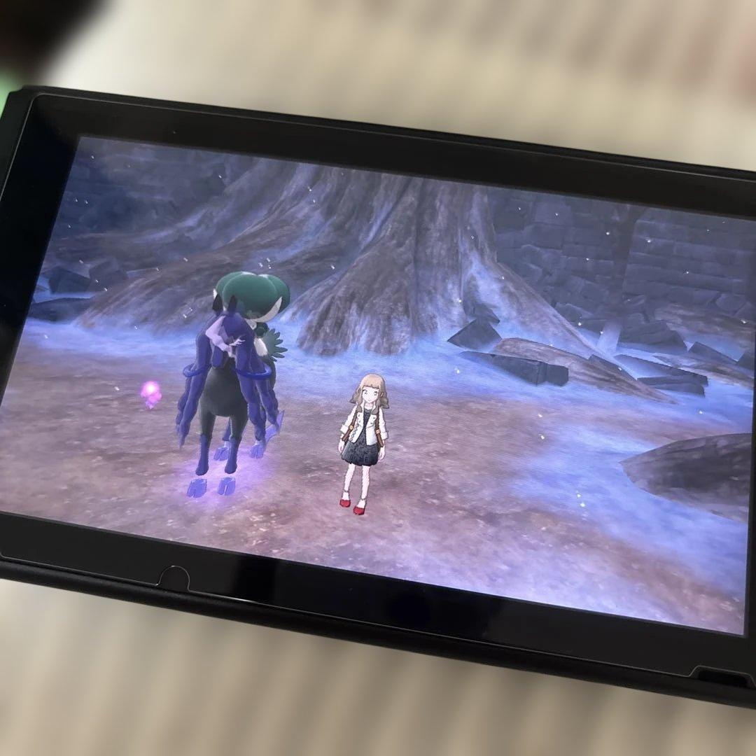 ポケットモンスター ソード 拡張パス付き