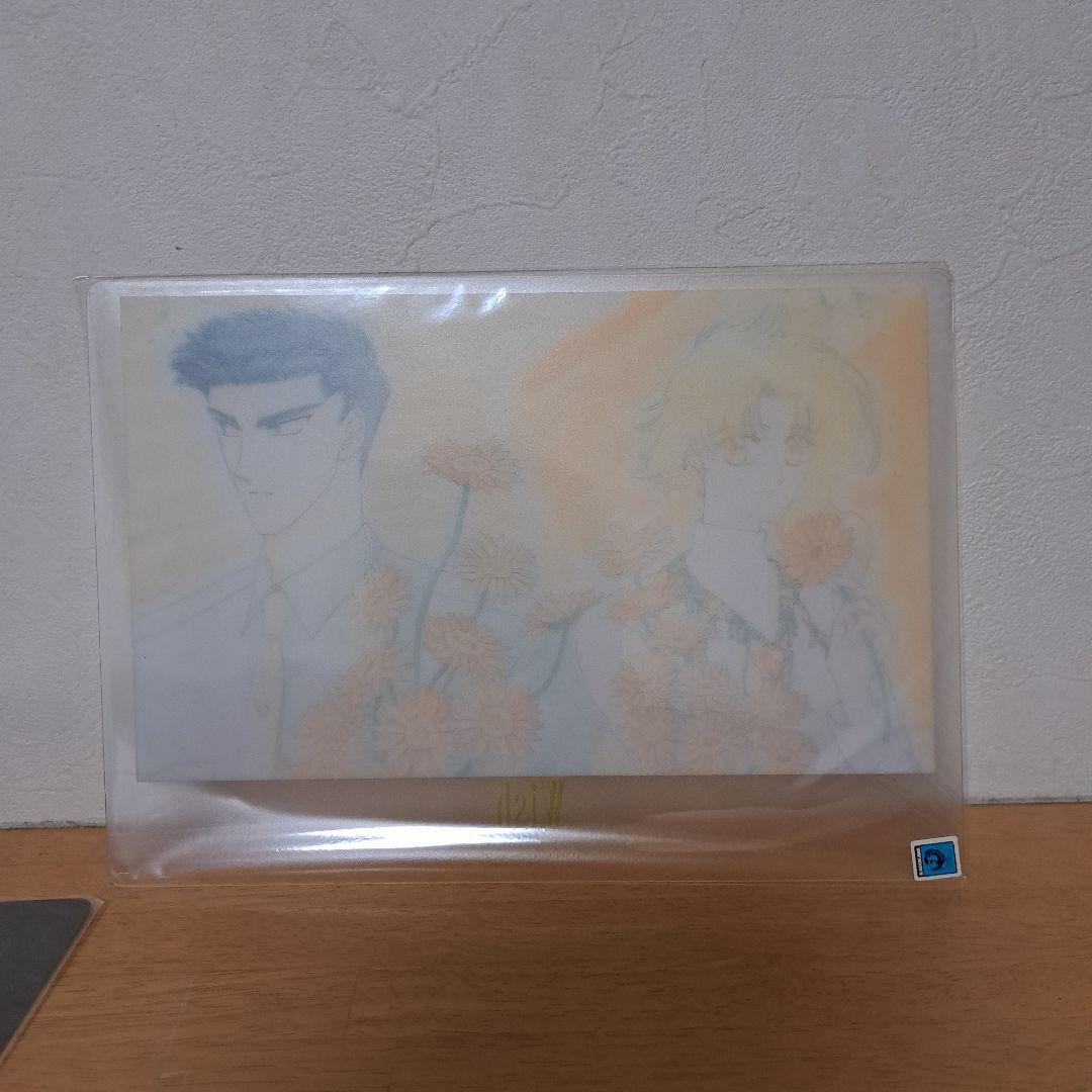 CLAMP 下敷き 8枚セット
