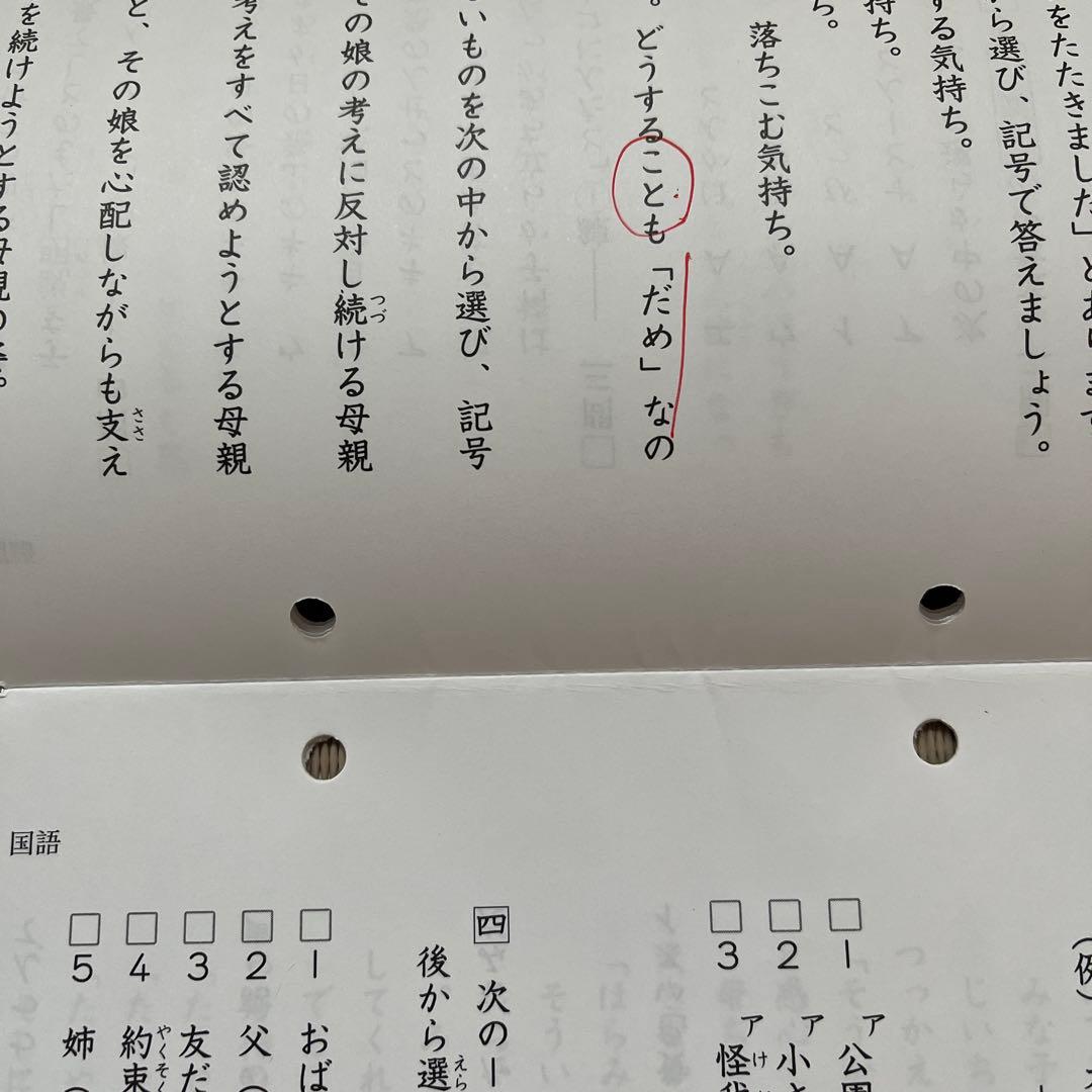 2025年❗️日能研 4年 ステージⅡ 育成テスト【前期】4科目❺〜➓