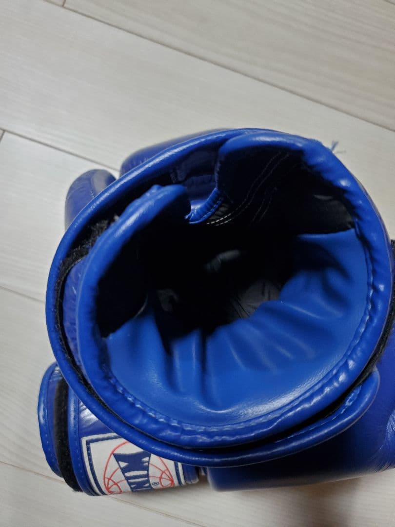 WINDY ボクシンググローブ 14 oz BGVH