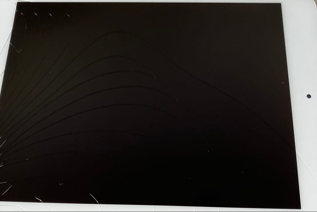 【完動品】iPad mini5 64GB SIMフリー 【すぐ発送】