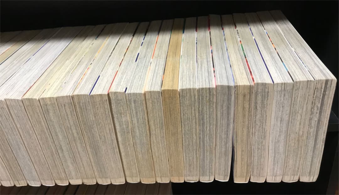 山*田様 金色のガッシュ 全巻初版 33巻　どうぶつの国　ガッシュベル セット