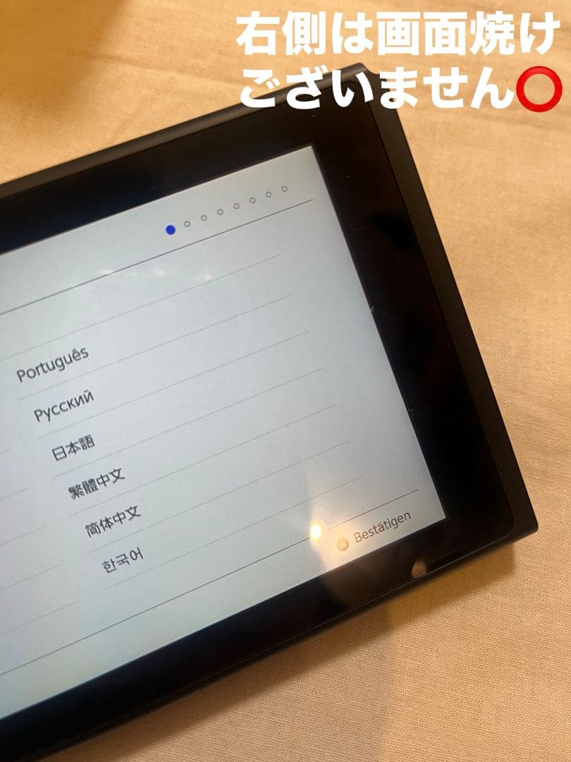 【送料込】Nintendo Switch あつまれ どうぶつの森　本体