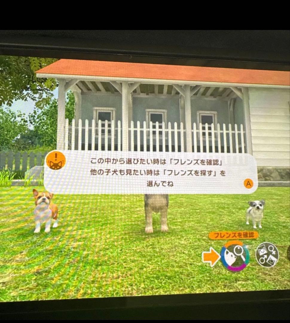リトルフレンズ　LITTLE FRIENDS -DOGS＆CATS-