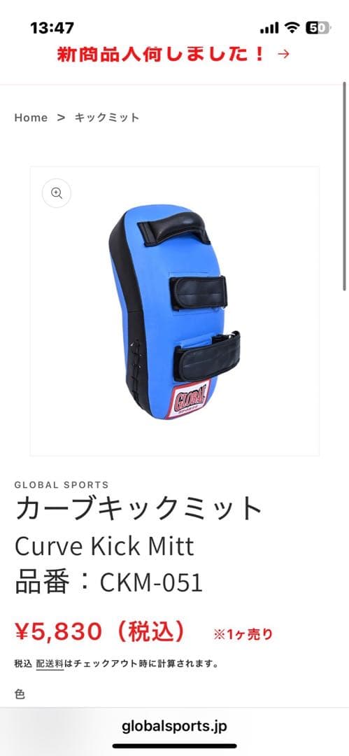 GLOBAL SPORTS パンチングミット 2個セット