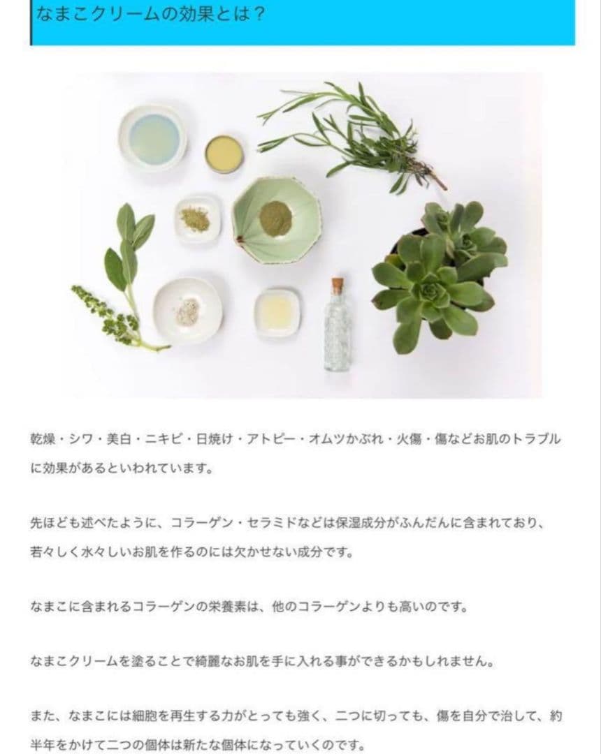 マレーシア産　なまこクリーム １０個 【ピサンランカウイ】　【5】