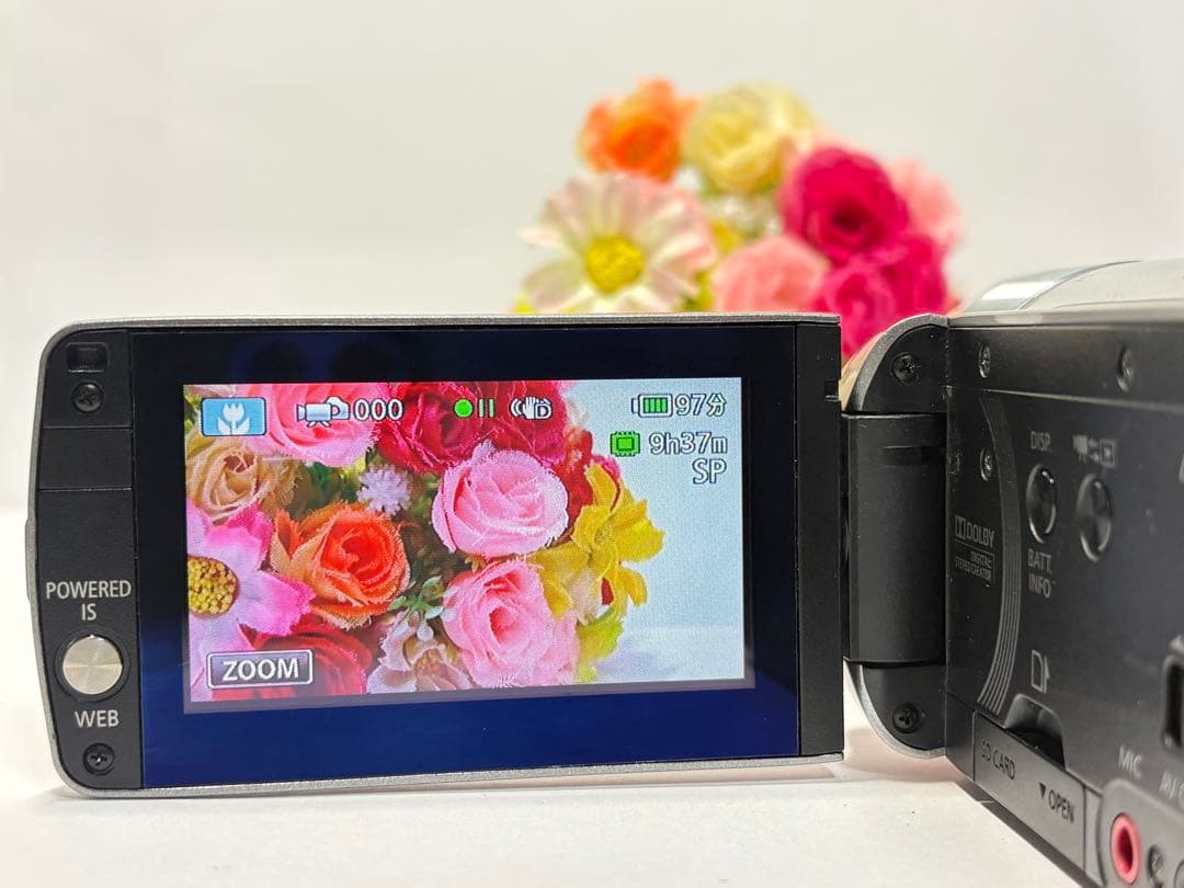 Canon iVIS HF M31 ビデオカメラ 本体 動作確認済み