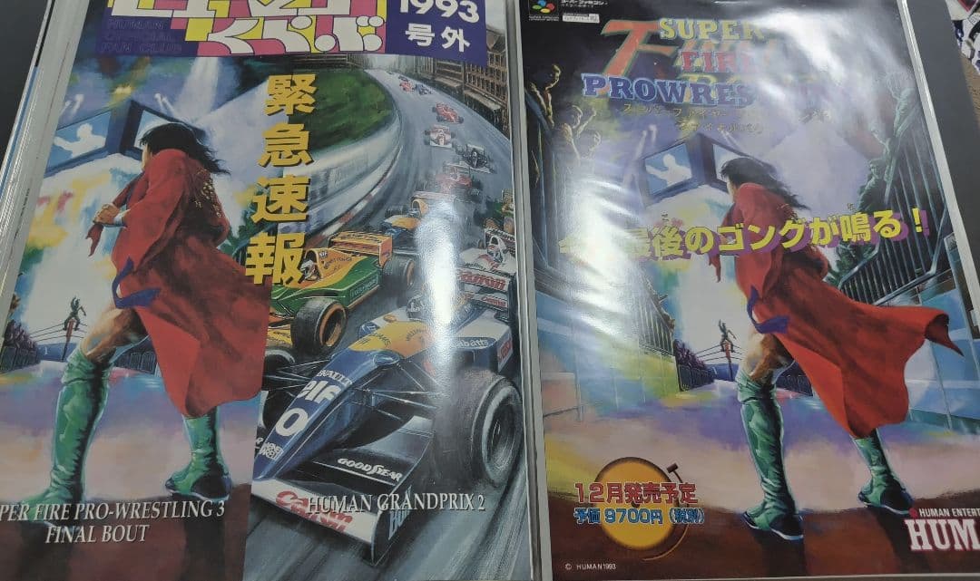 ゲーム機、ソフトのパンフレット、ポップなど