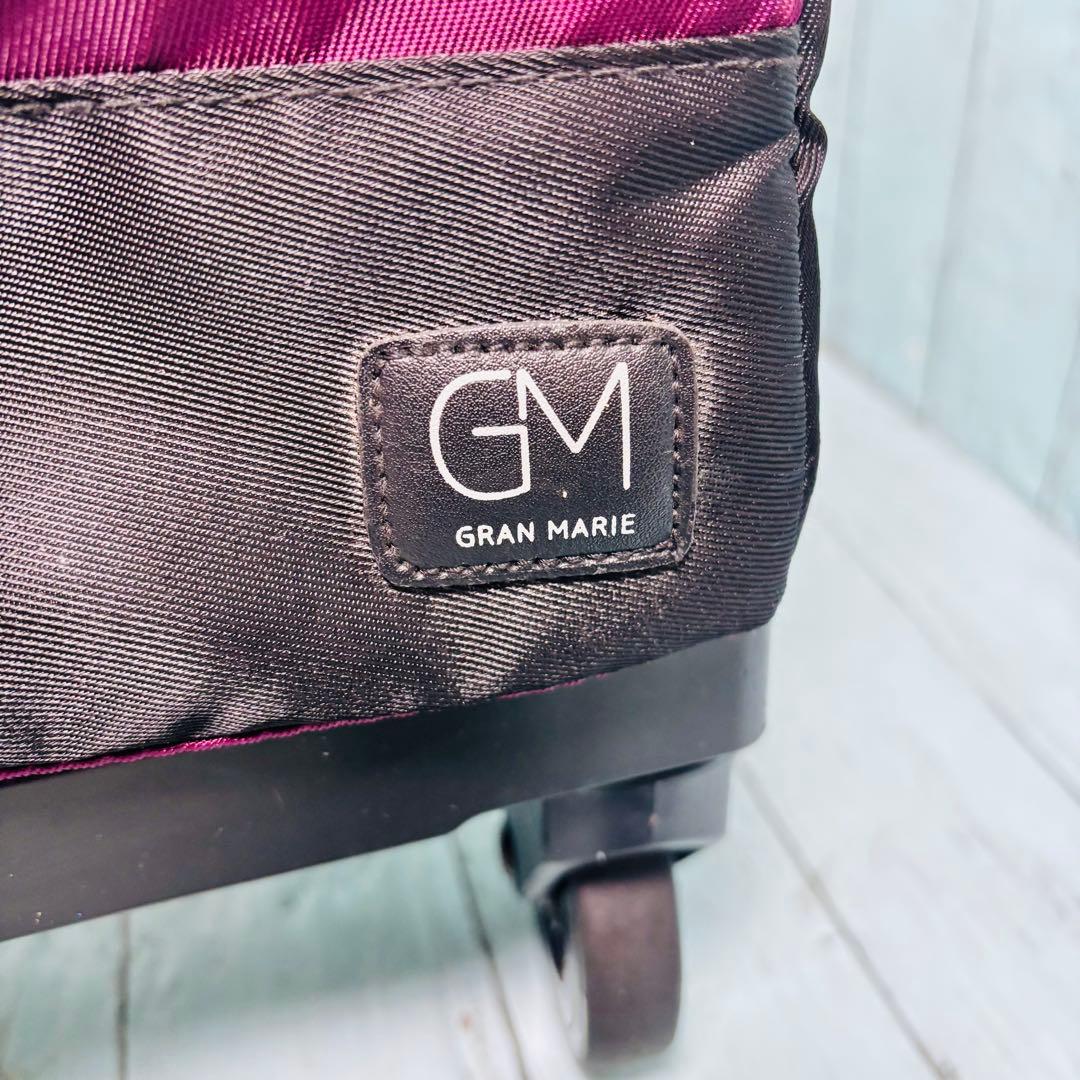 GRAN MARIE 保冷温ショッピングカート　グランマリー　買い物GM-125