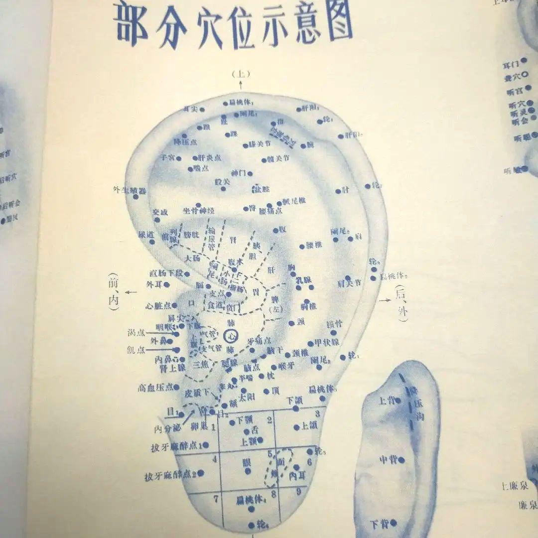 経絡の原典　経脈図説の解説
