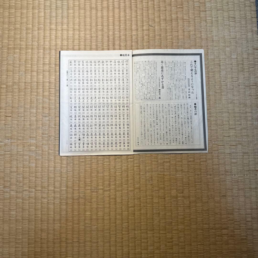 【希少】古書　古本　清人蒙隷字集 北川博邦編　辞典　習字 書体