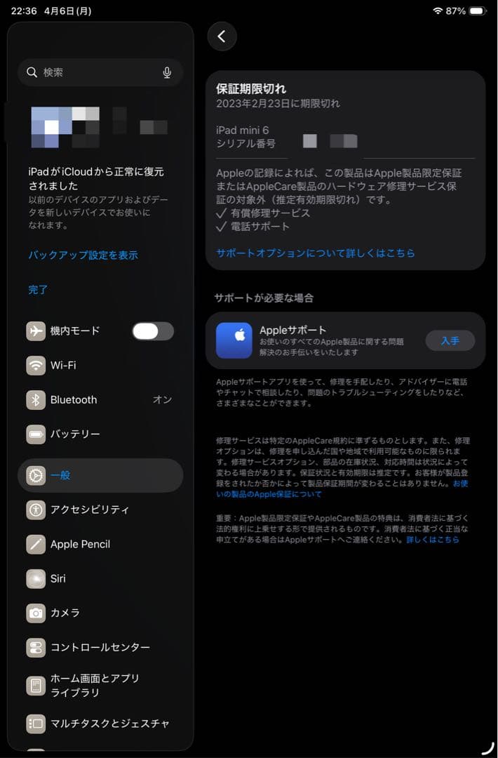 Apple 【Wi-Fi】 iPad mini（第6世代/2021） 256GB