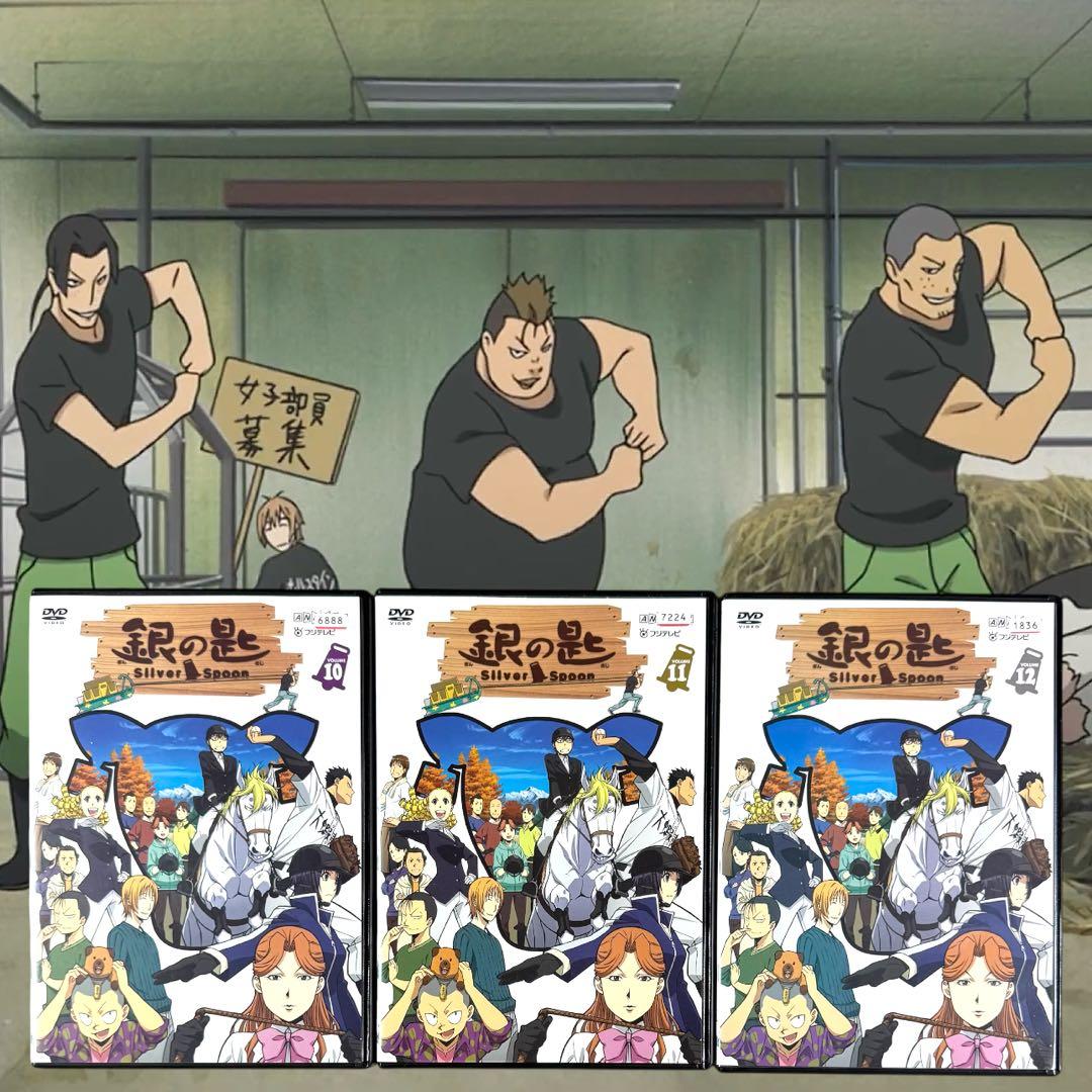 銀の匙 Silver Spoon DVD 1期 2期 全12巻 全巻 完結 荒川