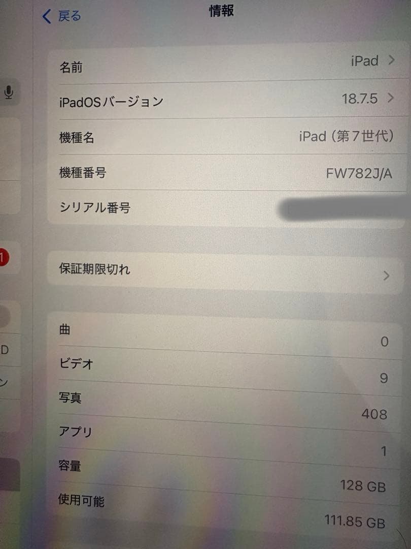 iPad 第7世代 128GB Wi-Fi シルバー 本体 動作確認済85%