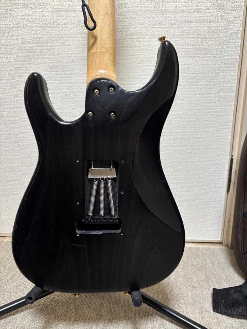 schecter BH-1 STD-24 とおまけホワイトピックガード