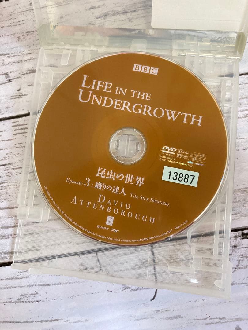 BBC 昆虫の世界　DVD 2枚セット　ライフインザアンダーグラウス