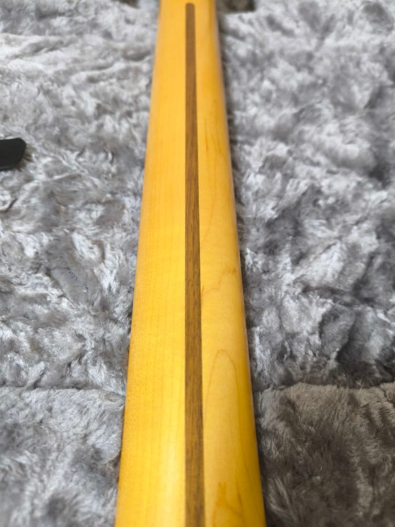 Fender American Professional II テレキャスター