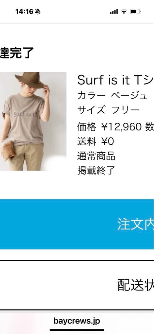 Surf is it Tシャツ