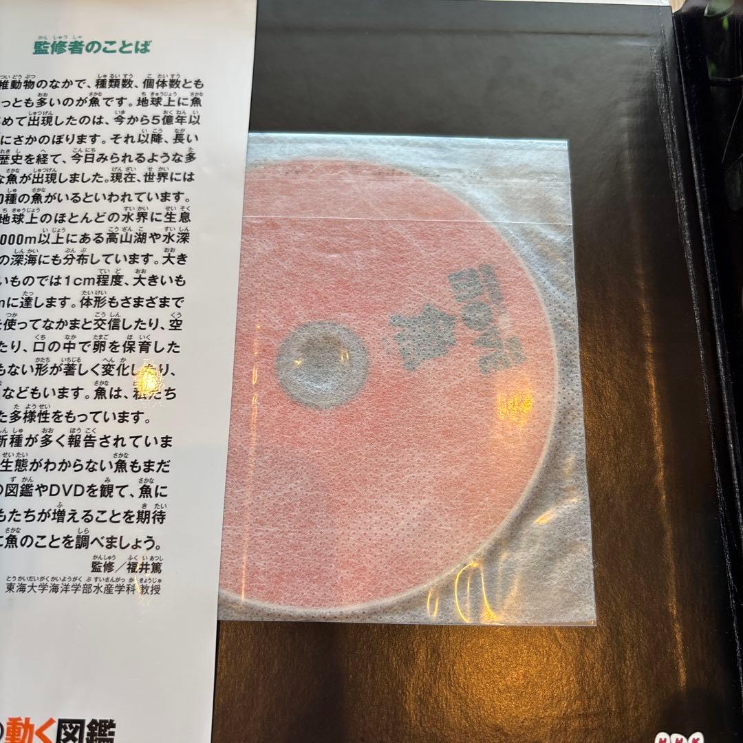 講談社の動く図鑑MOVE 全13冊セット　全巻DVD付　人体のふしぎ　植物　魚