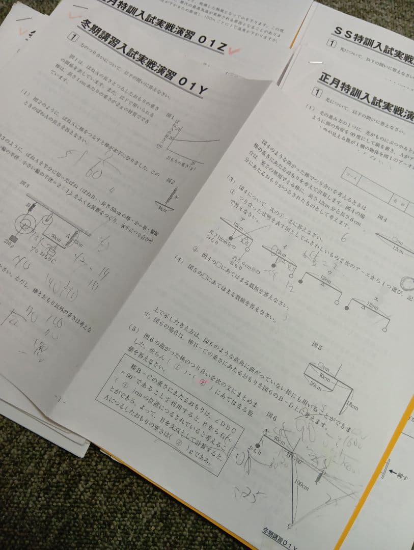 サピックス６年理科　デイリー/夏期集中/春夏/土特 /日特　中古　２０２６年受験