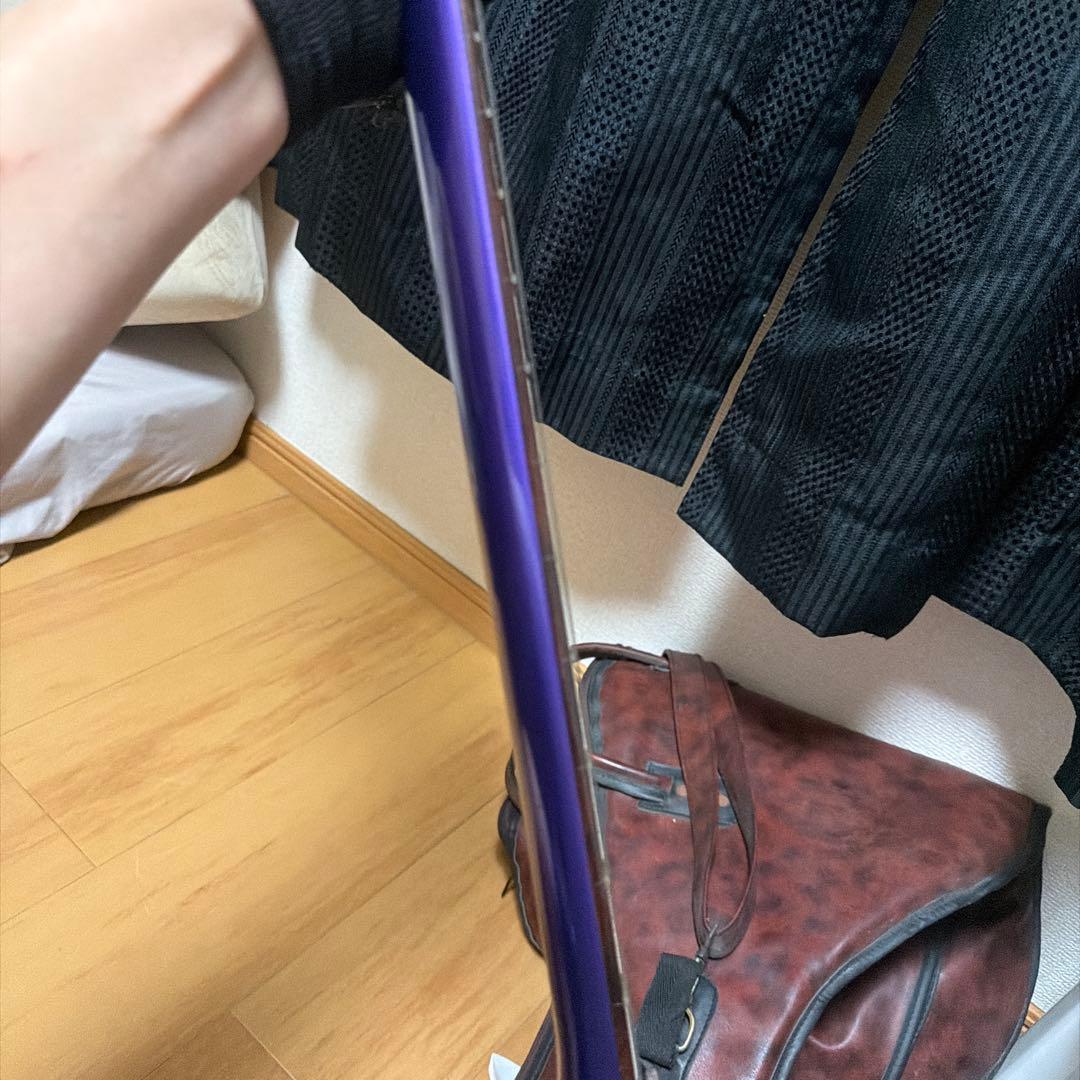 FERNANDES パープル エレキギター ムラサキ 楽器